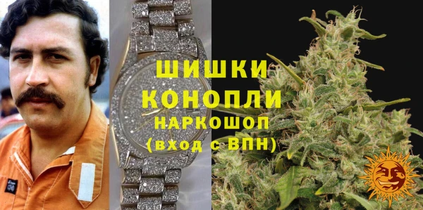 МДПВ Богородск