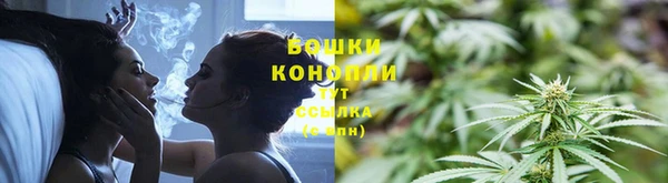 дурь Богородицк