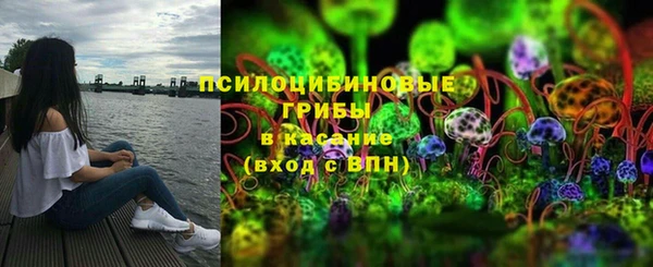 МДПВ Богородск