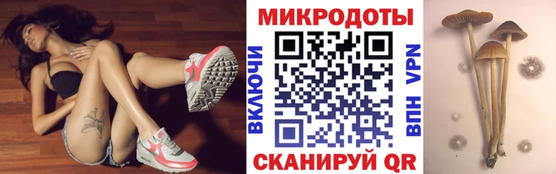 где можно купить   Дмитров  Псилоцибиновые грибы мухоморы 